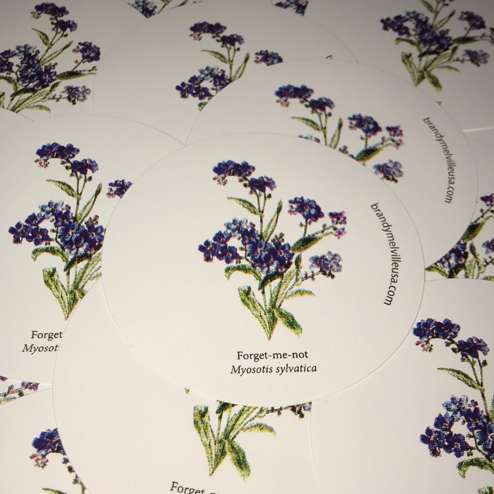 Brandy Melville Forget Me Not Flower Stickers Rare